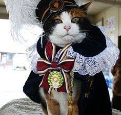 Tama the stationmaster cat
