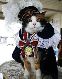 Tama the stationmaster cat