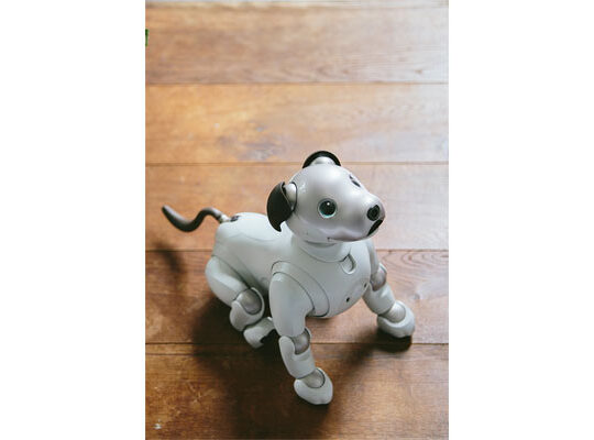Aibo, the robot dog.