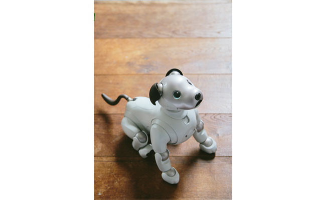 Aibo, the robot dog.