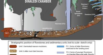 Could tiny-brained humans have actually dug graves half a million years ago?