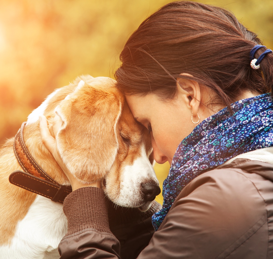 Pets Grieving the Loss of Other Pets