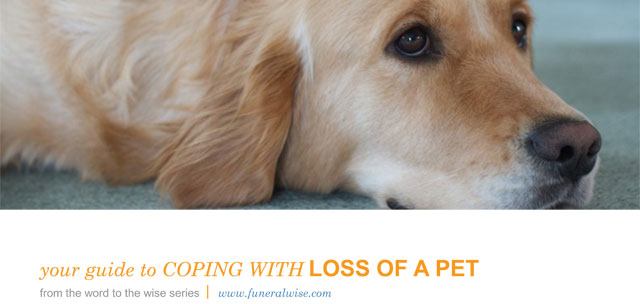 Guide to Coping with Pet Loss