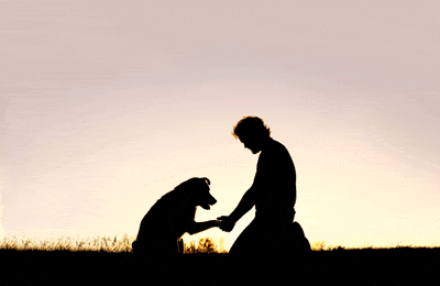 Loss of a Pet Quotes and Readings for Comfort and Inspiration