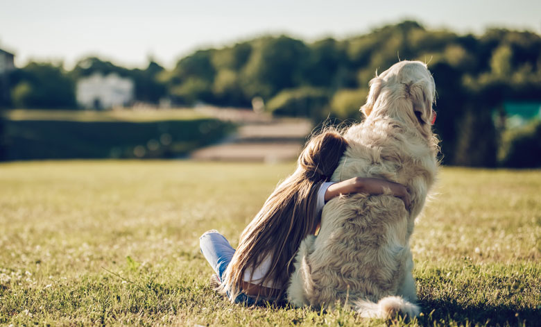 Coping with Pet Loss