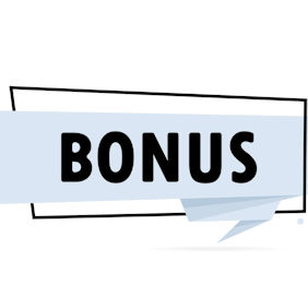 Free bonus guide