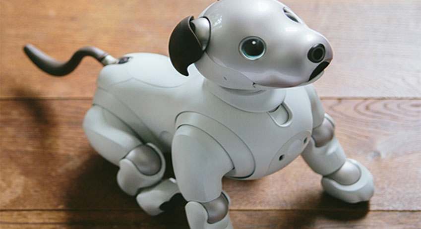 Robot Dog