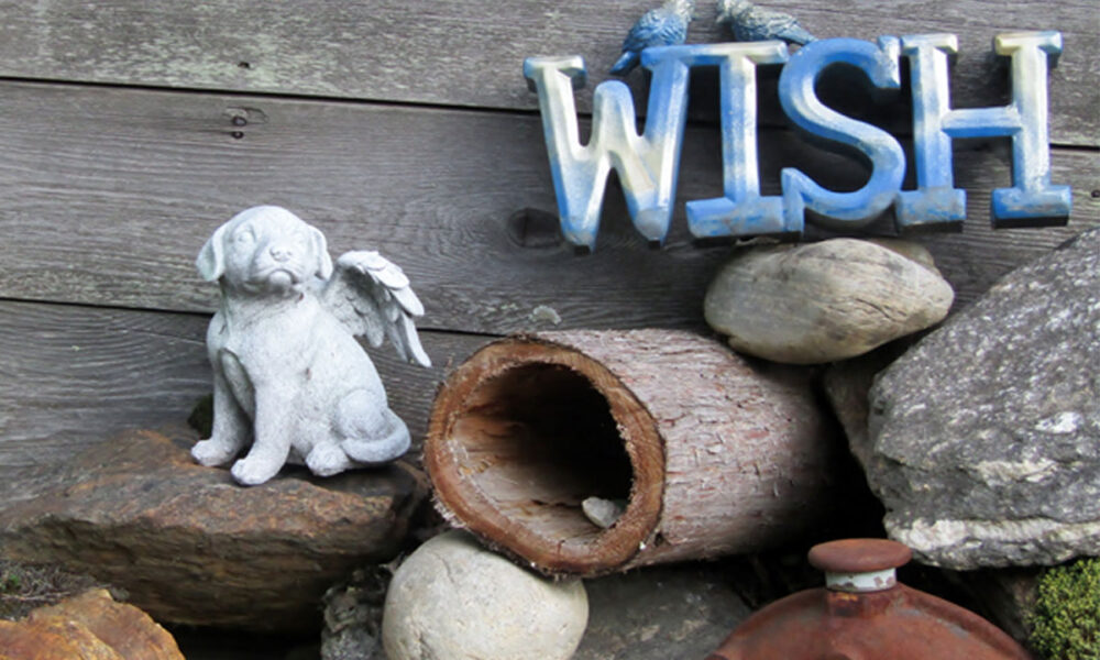 Create a Pet Memorial Garden