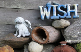 How to Create a Pet Memorial Garden