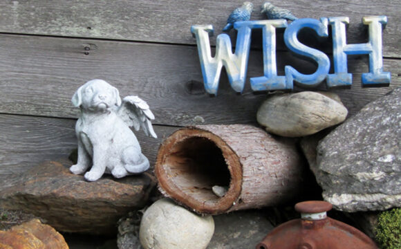 How to Create a Pet Memorial Garden