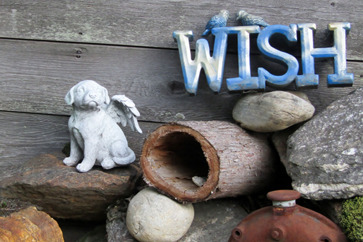 Create a Pet Memorial Garden